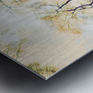 Peachy Birch Trees Perspective Metal print