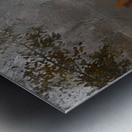 Boat House Metal print