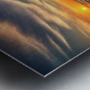 IMG 5941 Metal print