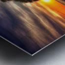 IMG 5942 Metal print