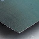 Underwater Pacifier Metal print