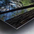 20230526 164842 Metal print