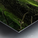 Dry Creek Metal print