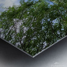 Father Rhein Metal print