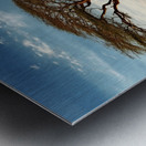 mouhty a photo showing the savannah of Africa fc1 Metal print