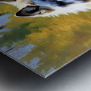 IMG 6008 Metal print