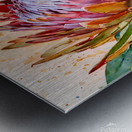Protea Metal print