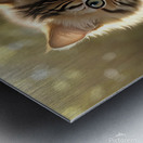 Cats Curious Exploration Environment Metal print