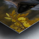 Realistic Wildlife Encounter Photography Metal print