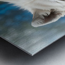 Realistic Wildlife Encounter Photography Metal print