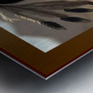 Young Chief Metal print