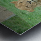 The Queen Metal print