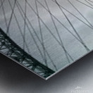 In the Eye Metal print