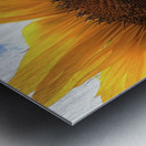 IMG 3967 Metal print