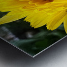 F17B6D9A 86D4 49AB 80E9 987CD2F52091 Metal print