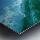 Hang Ten  Metal print