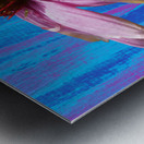 Echinacea Flower Close up on Heatwave Abstract Metal print