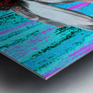 Poster Echinacea Flower  on a Colourful Background Metal print