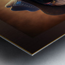 Patriotic Eagle Metal print