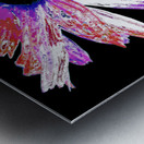 Red and White Distressed Daisy Flower on a Black Background Metal print