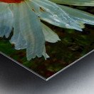  Colour Pop Daisy Flower Metal print