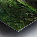 Dry Creek II Metal print