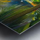 Naples Botanical Gardens Lotus Pond Metal print