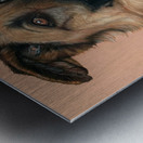 Axel Metal print