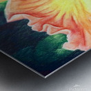 Orchid Metal print