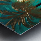 IMG 6597 Metal print