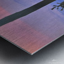 45A17DEF CAA6 47A1 B2E1 6BD2FDD68D3C Metal print