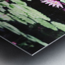 OmegaLilly  Metal print