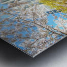 John Roberts Library Cherry Trees Metal print