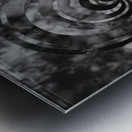 CarnBackgarden Metal print