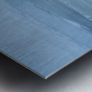 ChatPond1 Metal print