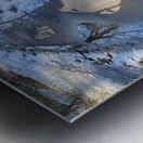 Winterwalk2 Metal print