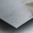 QuietLkMI Metal print