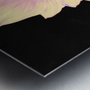 Silver and Pink Sunflower on a Black Background Metal print