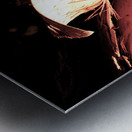 NatureLight Metal print