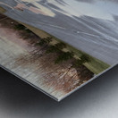 WinterWalkman Metal print