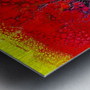 Duality Metal print