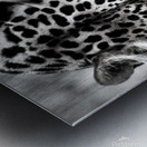 Showdown Metal print