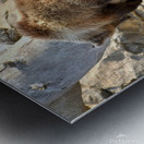 Naptime Metal print