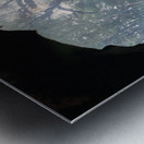 RoseHolds Metal print