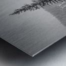 Lone Snowy Pine Metal print