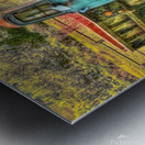 1953 Truck 20x30 Metal print