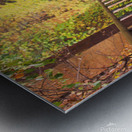 Fall Pipe Line Run 16x24 Metal print