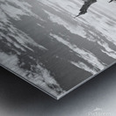 Please Save Me  18x26 Metal print