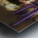 Lewis Ginter Fest of Lights cropped nik filters.j Metal print