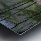 Pathway Series-4 - Tahlequah Trail  Metal print